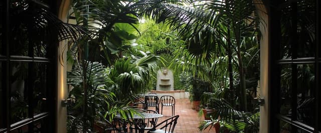 Arched passageway with black doors and hanging candle chandelier opening to tropical courtyard with palm plants and dining table