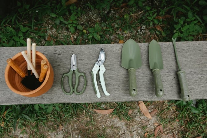 Revitalize Your Outdoor Space: Five Essential Chores to Tackle in May