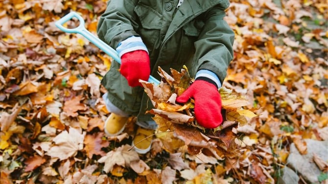 Fall Back, Fresh Start: Home Maintenance To-Do’s When the Clocks Change - Beckon Homes