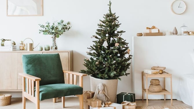 Elevate Your Holiday Revenue: Crafting Memorable Guest Experiences