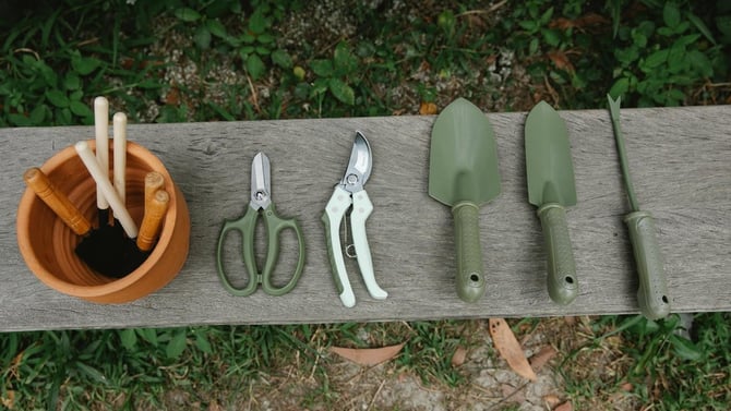 Revitalize Your Outdoor Space: Five Essential Chores to Tackle in May