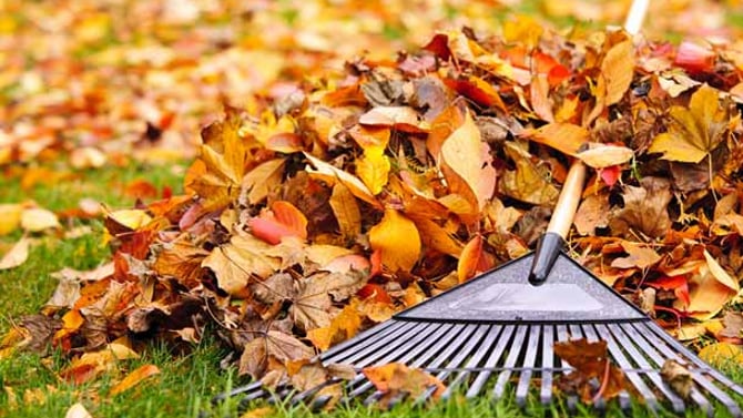 Get Your Home Ready For Winter